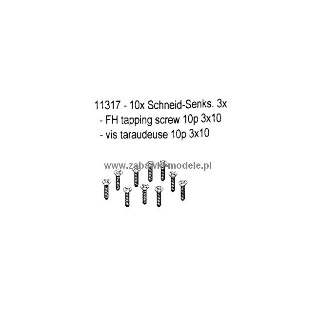 Selbstschneidende Schrauben 3x10 (10 Stück) CS-4 Carson 500011317
